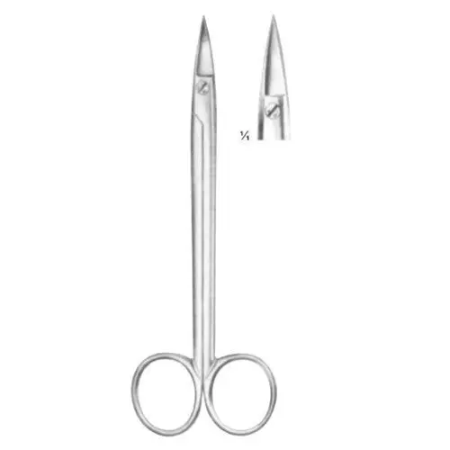 Dental Quinby Scissors - Straight 12.5cm 